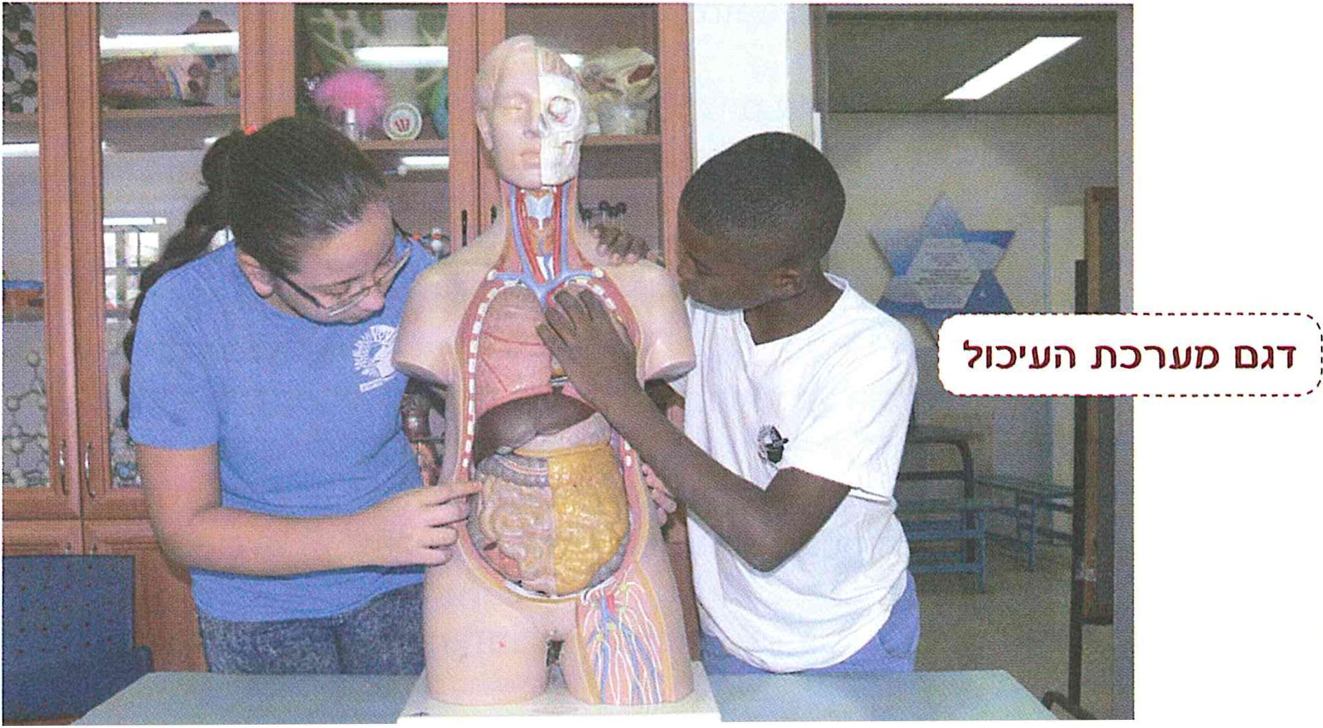 (בספר תמונה)